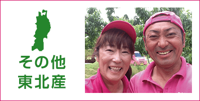 その他東北産の商品はこちら