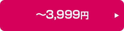 ～3,999円の商品はこちら
