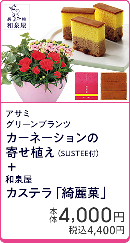 アサミグリーンプランツ カーネーションの寄せ植え（SUSTEE付）＋和泉屋カステラ「綺麗菓」