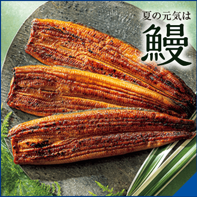 夏の元気は鰻