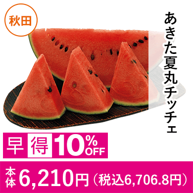 あきた夏丸チッチェ