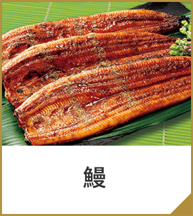 鰻