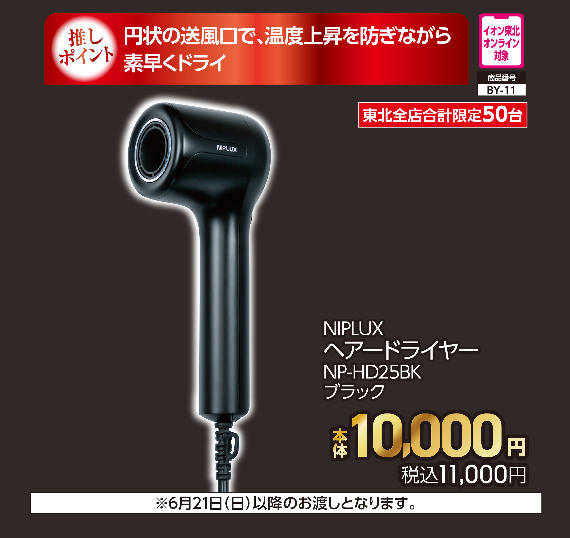 NIPLUX ヘアードライヤー ブラック【商品お渡し予定日:6月21日(日)以降】 本体10,000円 税込11,000円