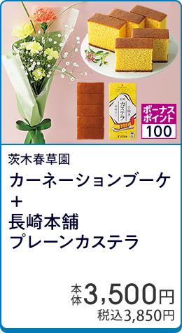 茨木春草園 カーネーションブーケ＋長崎本舗プレーンカステラ