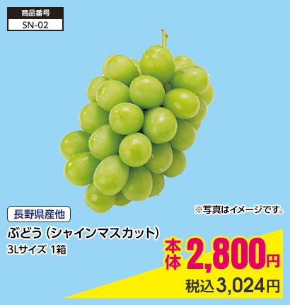 長野県産他 ぶどう（シャインマスカット） 3Lサイズ 1箱 本体2,800円 税込3,024円