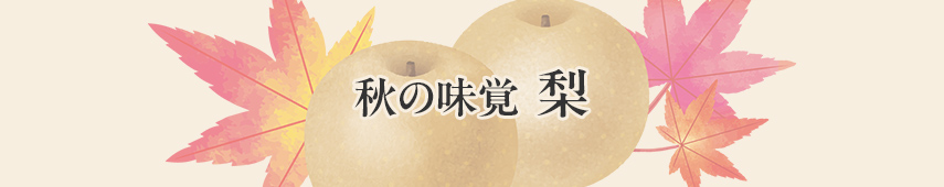 秋の味覚 梨