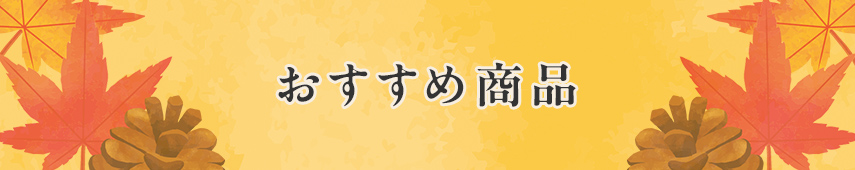 おすすめ商品