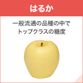 はるか 一般流通の品種の中でトップクラスの糖度