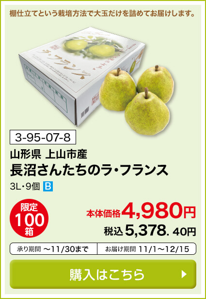 商品番号 3-95-07-8 山形県上山市産 長沼さんたちのラ・フランス 3L・9箱 限定100箱 本体価格4,980円 税込5,378.40円 承り期間11月30日まで お届け期間11月1日～12月15日 購入はこちら