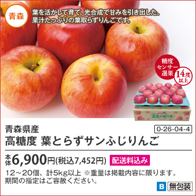 青森県産　高糖度　葉とらずサンふじりんご