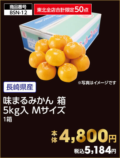 東北全店合計限定50点 長崎県産 味まるみかん 箱 5kg入 Mサイズ 1箱 本体4,800円 税込5,184円