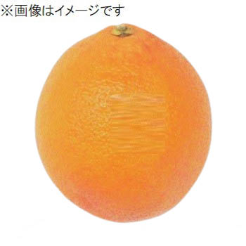 商品名