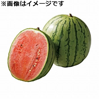 群馬県さん　スイカ　小玉すいか7玉(約6500g 〜7500g ) 群馬県さん スイカ 小玉すいか7玉(約6500g 〜7500g )
