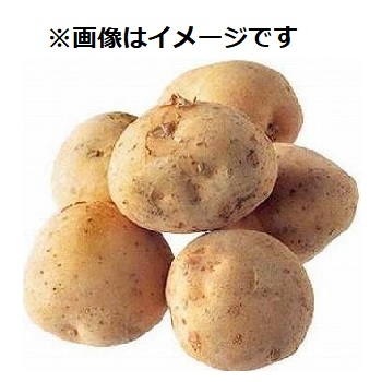 商品名