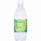 トップバリュベストプライス 炭酸水マスカット ５００ｍｌ イオン仙台中山店 ネットスーパー