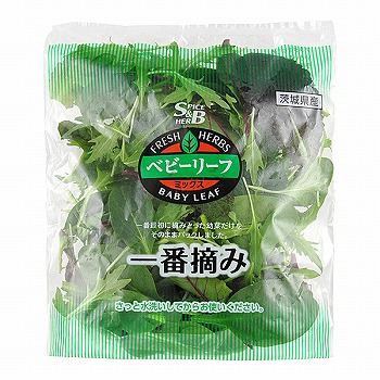 茨城県などの国内産 Ｓ＆Ｂ食品 ベビーリーフサラダ（ベビーリーフハーブミックス） １袋 イオン山形南店 ネットスーパー