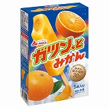赤城乳業 ガツン、とみかんマルチ 58ml×5本