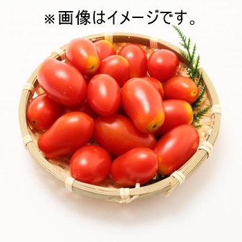 数量限定』『無添加』岩手県盛岡産！ミニトマト（アイコ)170ml×４本