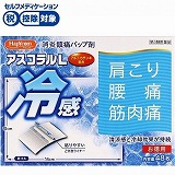 第３類医薬品 第一三共ヘルスケア パテックス うすぴたシップ ４８枚 １２枚 ４袋 イオン仙台中山店 ネットスーパー