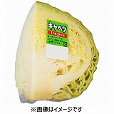 群馬県などの国内産 キャベツ 1／4カット | イオンスタイル新利府