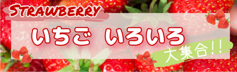 いちご特集🍓