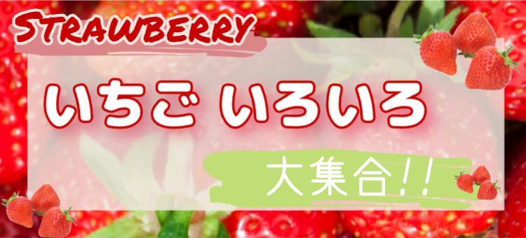 いちご特集🍓