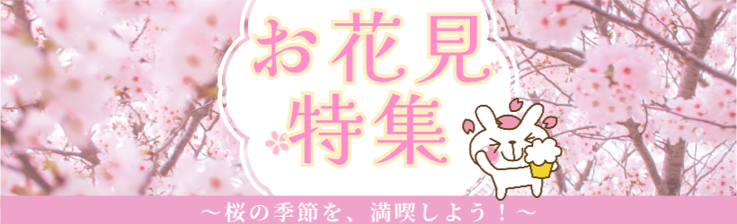 お花見特集