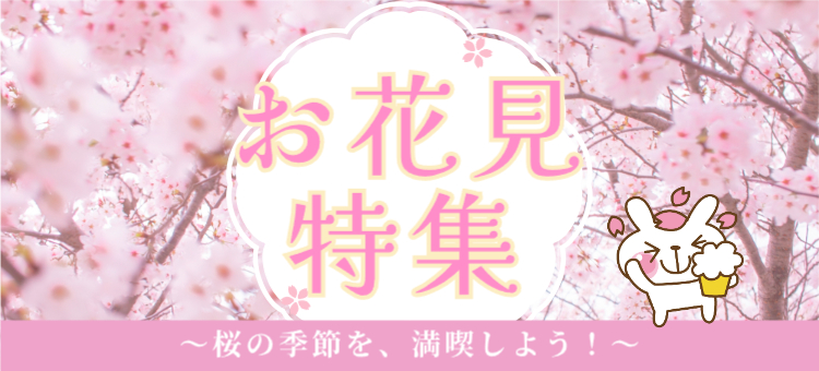 お花見特集